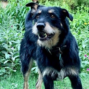 Meet your Posher, Allison l